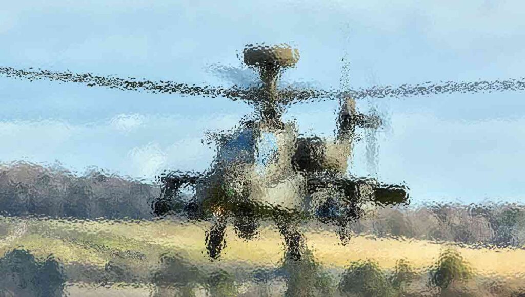 m49 1