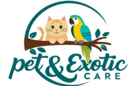 Pet & Exotic Animal Care